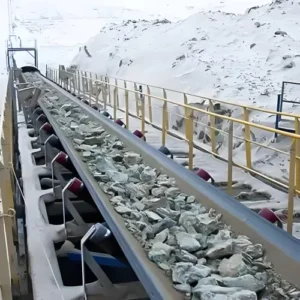 Cold resistant conveyor belt