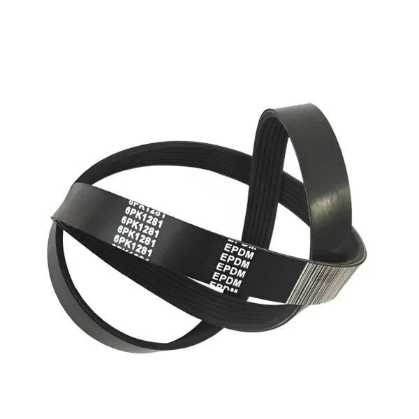 Poly-Rib Belt - 图片 2