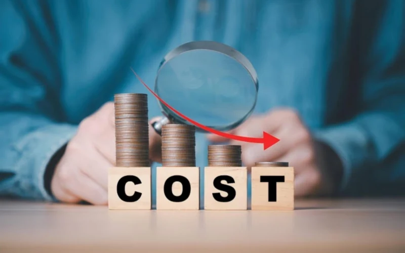 Long-Term Cost Efficiency