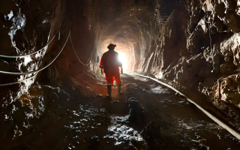 Addressing Labor Shortages and Transport Delays