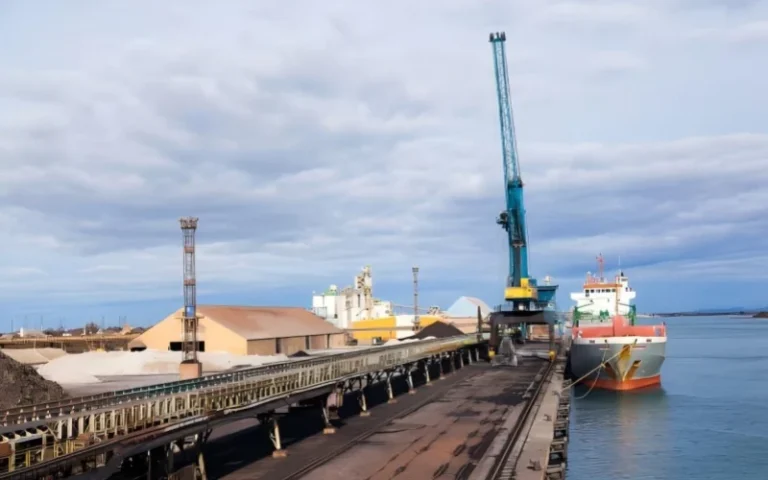 case seaport conveyor belt