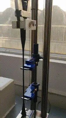  신장 테스트 gif 사진