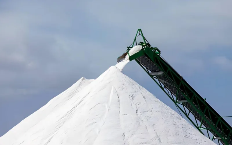 5.Neoprene Rubber Conveyor Belt can be used in high salinity environments