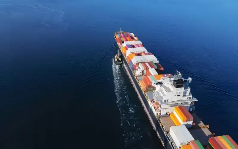 exportor and importer