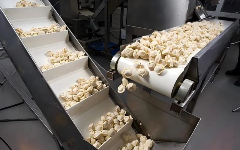 Food pvc conveyor Belt