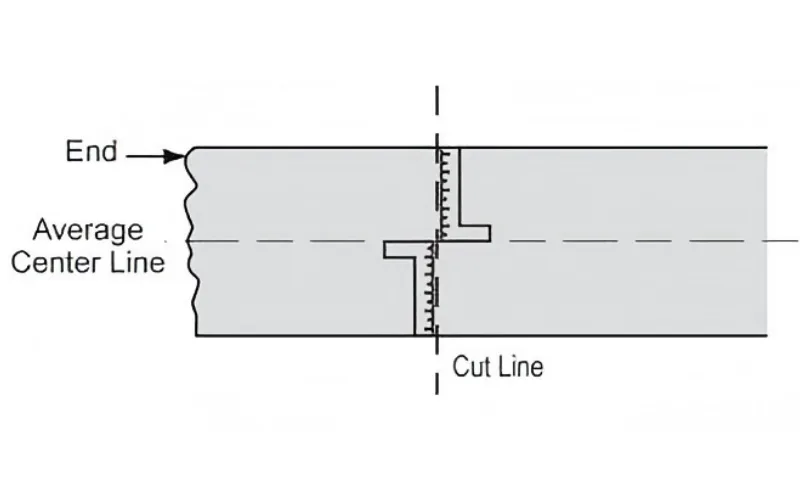 center line of the conveyor belt