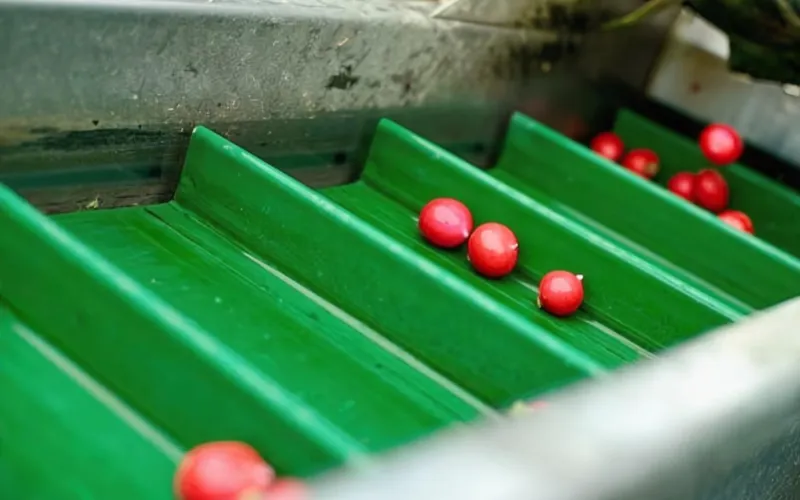 4.2 pvc Cleated conveyor belt