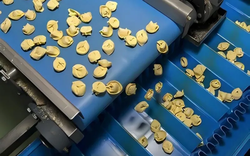 4.3 PU Conveyor Belt