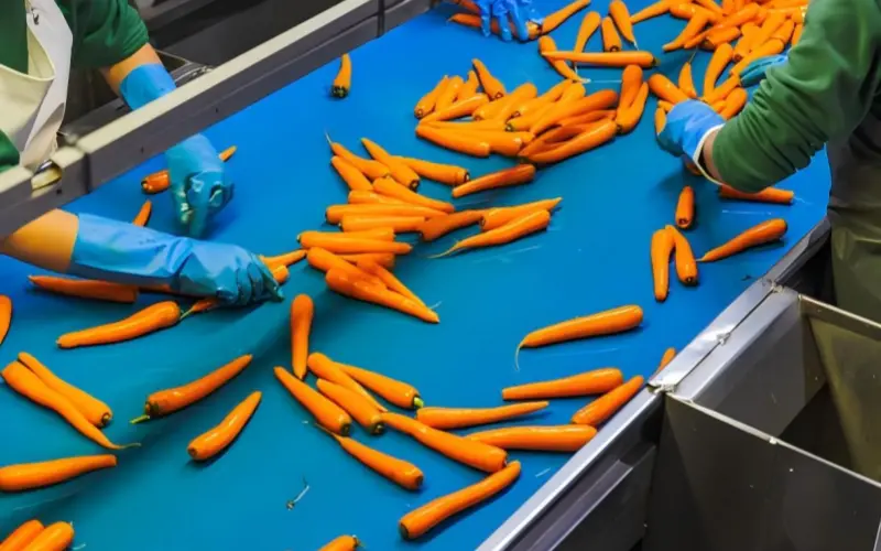 1. food conveyor belt