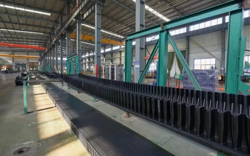 10 Sidewall conveyor belt (2)