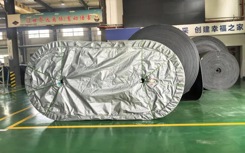 5.2 Tiantie industrial conveyor belt package