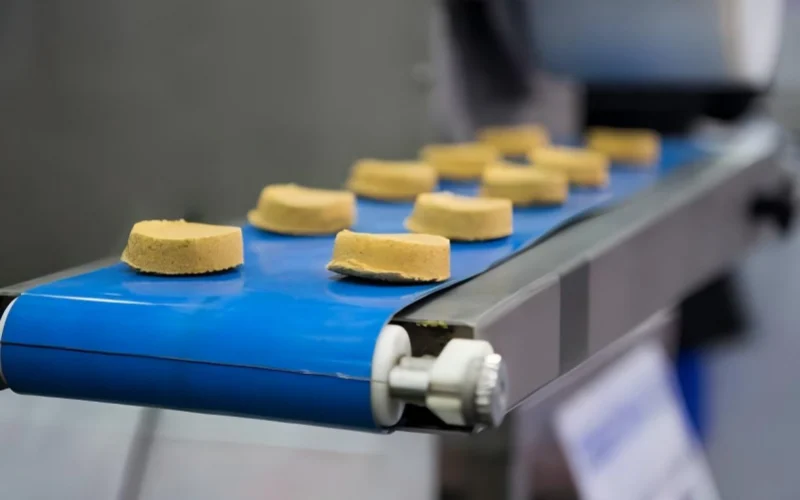 9. blue food conveyor belt