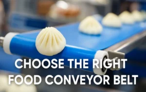 choose the right food conveyor belt