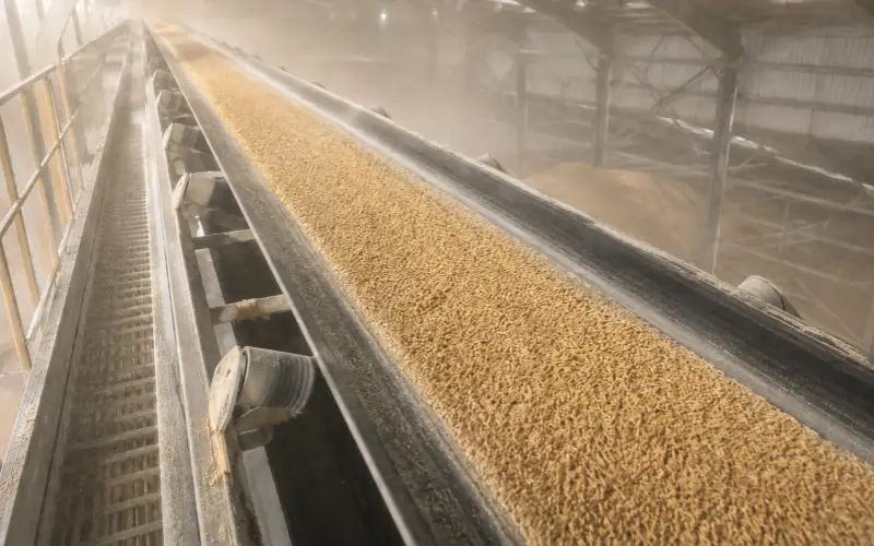 Grain, Flour, and Feed anti static Conveying belt